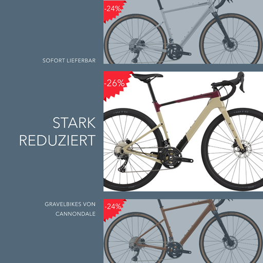 🔥TOP OFFER: 3 fantastic Gravel Bikes at the best price!🔥